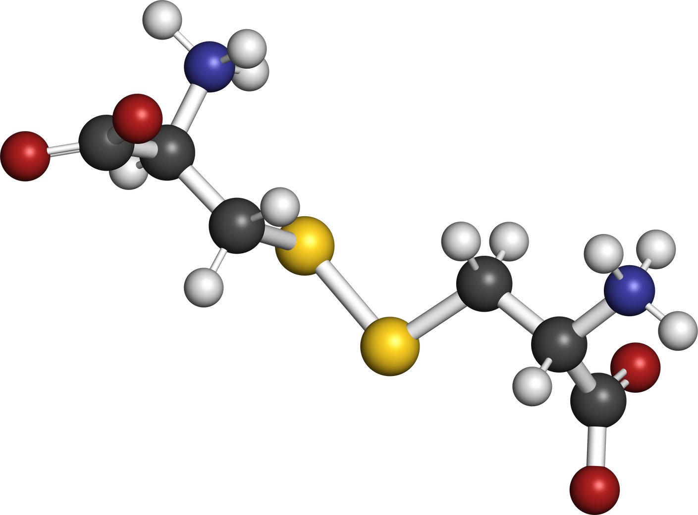 Cystine molecule. Oxidized dimer of the amino acid cysteine 3D rendering